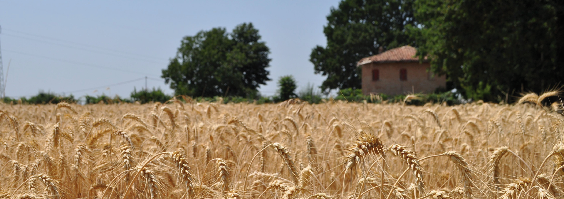 5_Ecosistemi agricoli
