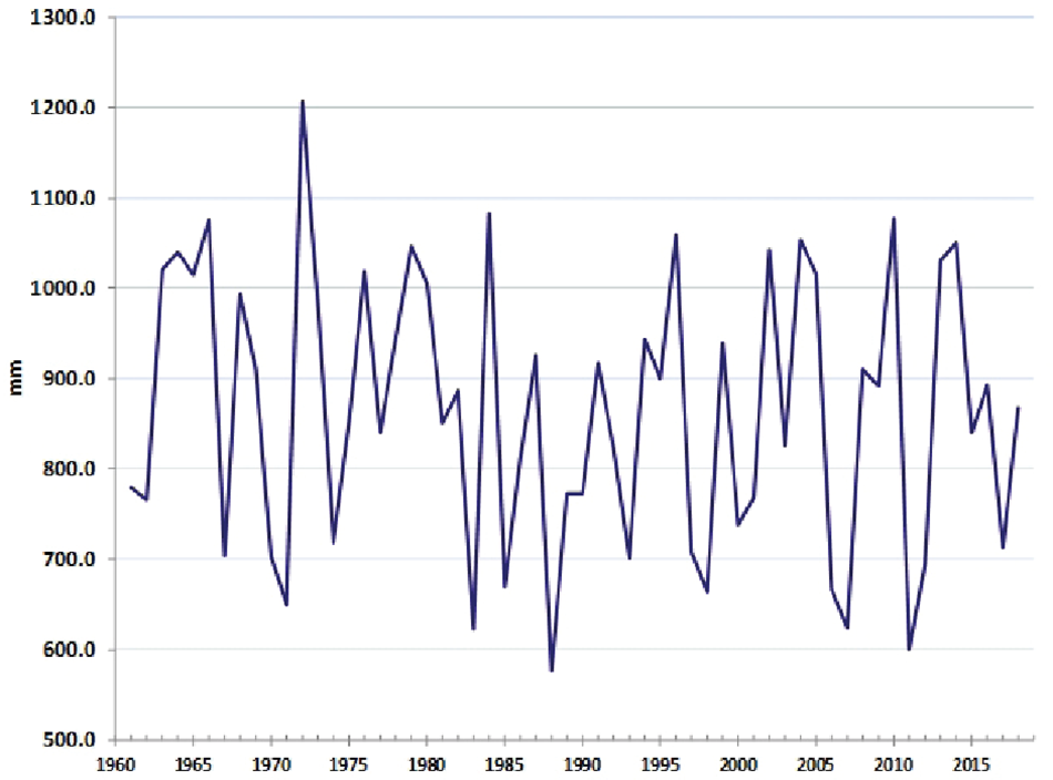 Andamento temporale delle precipitazioni annue media sulla Città metropolitana periodo 1961 - 2018